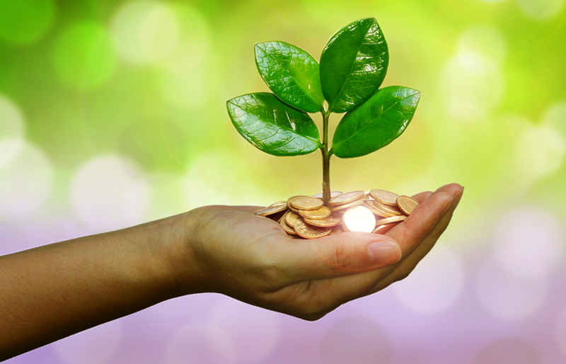 L'information financière relative aux changements climatiques est représentée par l'image d'une main qui tient des pièces de monnaie, sur lesquelles pousse une plante verte.